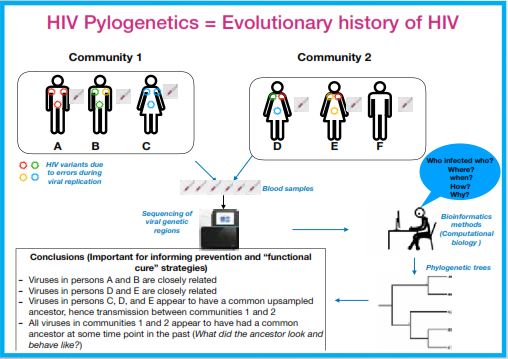 HIV Phylogenetics